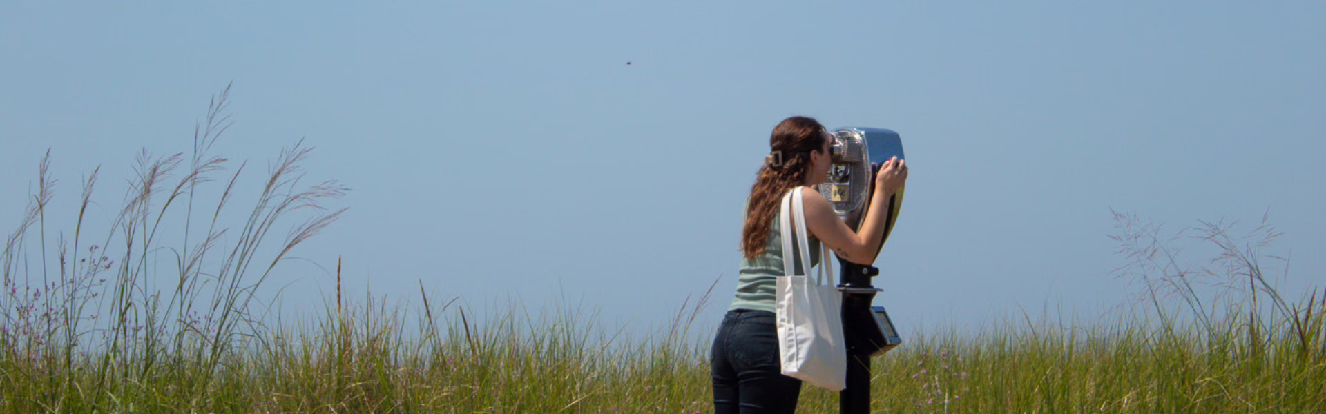 Annual Meeting Looking Ahead