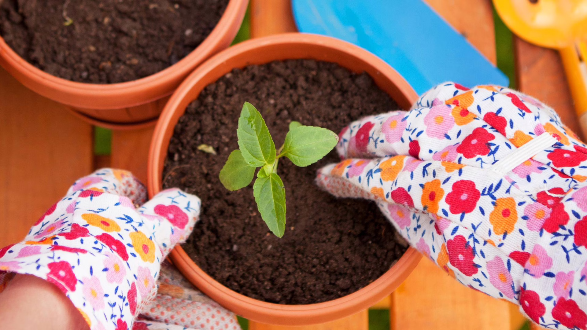 Our Mission Cross Sell